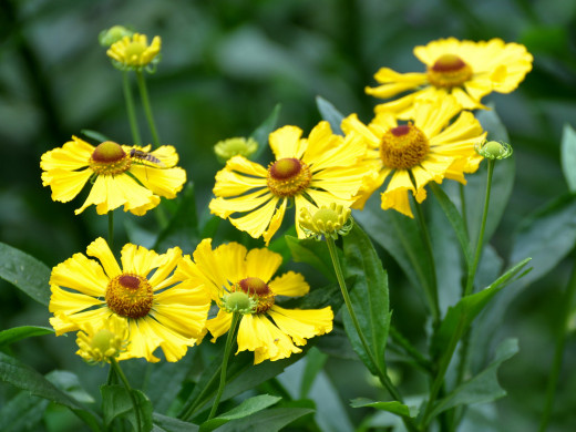 429751 (a): :1600x1200